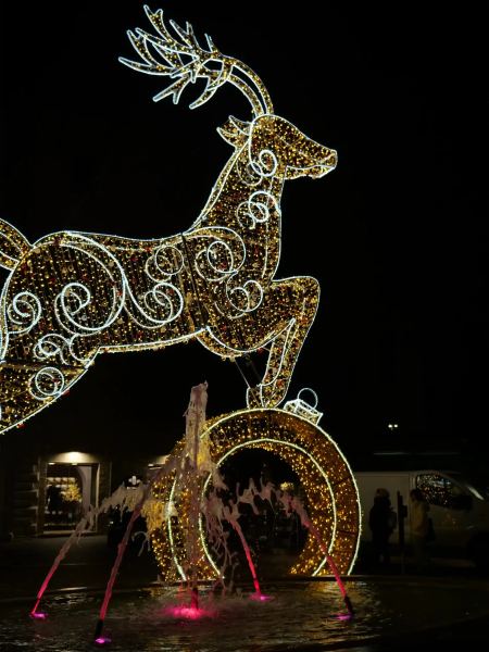 Renna luminosa monumentale